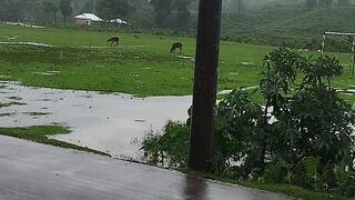 ফানাই নদীর তীরে পানি অনেক উপরে