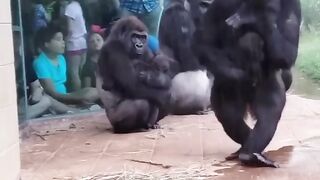 Funny video ???????? #funny