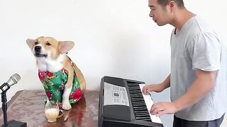 Document name Canine sings a single word divine melody solo Creature World Piano Variant Canine Loves to Sing(