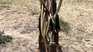 How many snakes is Mike Holston holding?