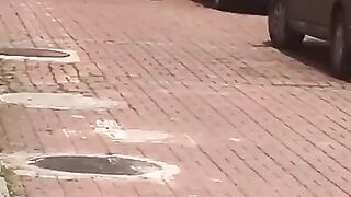 happy dog 4