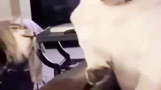 dog funny momant
