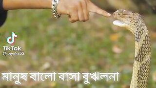 এমন ভিডিও না দেখলে মিস করবেন
