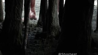 Horror video in the forest????????