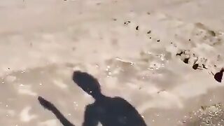 Crab Playing