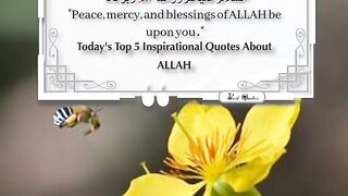 Today's Top 5 Inspirational Quotes About ALLAH 15