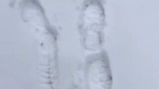 Нашел телефон в снегу!