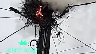 মানুষ এর বিবেক আর কবে জাগবে?#When will people wake up#2024