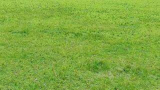 নলড়রী মাঠে উপর দিয়ে পানি ফানাই নদীর