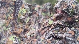 Wildlife Deer Photography & Videography????