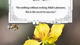 Best Quotes 51