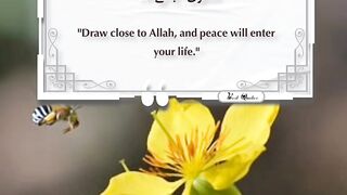 Best Quotes 52