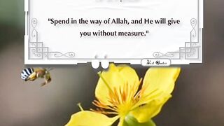 Best Quotes 53
