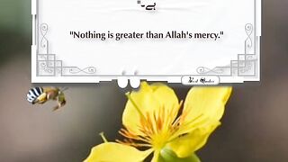 Best Quotes 55