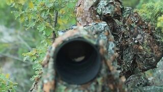 Outdoor Wildlife????Photography & Videography????