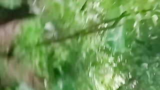 nachrel video