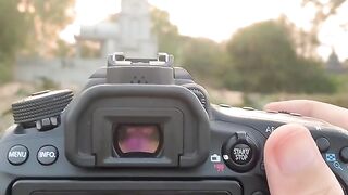 Outdoor Lotus Flower???? Photoshoot By Canon 6D Mark ii ????