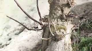 STALKER Не учатся ничему некоторые...