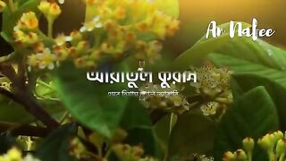 আয়াতুল কুর্সি