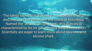 The latest fact