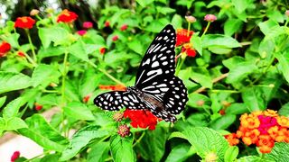 তুমি আবার আমাকে একা করে দিলে..!????