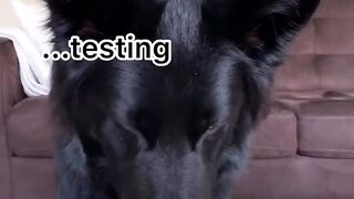 Funny video 02 2