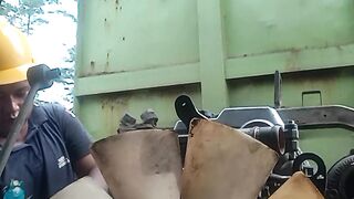Plant 4