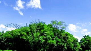 Natural village view????????️