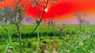 অনেক সুন্দর একটা ভিডিও 2