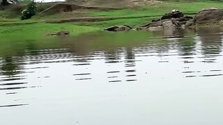 হাসি না আসলে এমবি ফেরত????????