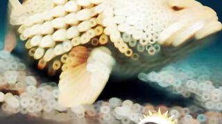 Fish made with fruits AI
