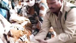 কেউ 999 এ ফোন দেন