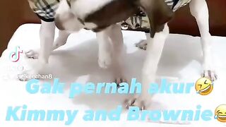 MyChihuahua