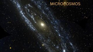 From Macrocosmos to Microcosmos