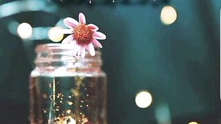 beautiful Urdu quotes //best aqwale Zareen //heart touching Urdu quotes //motivation Urdu quotes
