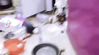 funny video 615