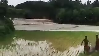 নোয়াখালী এবং ফেনীতে বন্যা পরিস্থিতি