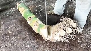 My video in Bangladesh