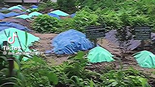 বিভীষিকাময় আবির্ভাব বাংলাদেশে
