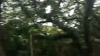 প্রাকৃতিক সৌন্দর্যে কিছু চিত্র