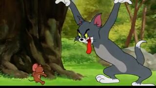 Tom and jerry fighting