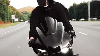This is life !!#bikes #explore #mindset #grind#ducati#skrr#ninjah2