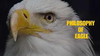 Philosophy of Eagle