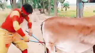 Funny video