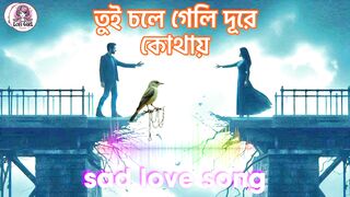 তুই চলে গেলি দূরে কোথায় | Lofi Girl Disha | #BanglaSadSong #BaulMusic #LoveStory #SadLoveStory
