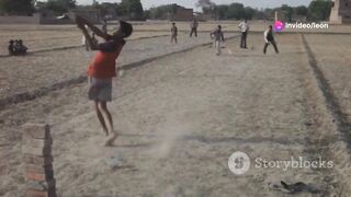 The Hilarious Cricket Match: Humans vs. Squirrels!