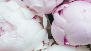Gruping roses