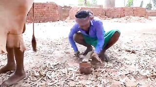 ##bangcomedy viral fevspot video ##