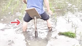 ডিসি অফিসার যখন মাঠে কাজ করে