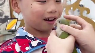 Besutiful funny videos